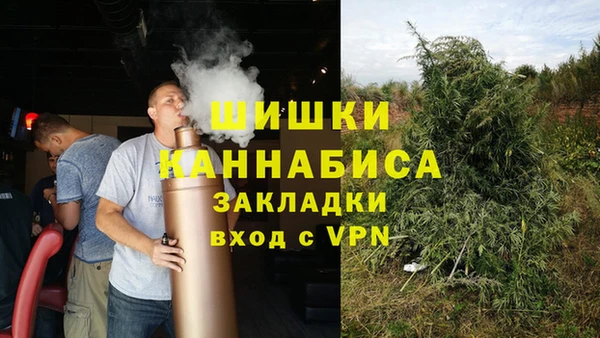 прущие грибы Белокуриха