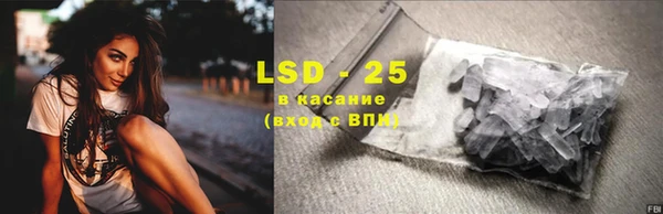 прущие грибы Белокуриха