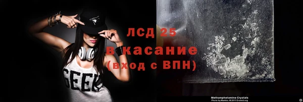 прущие грибы Белокуриха