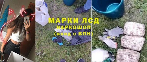 прущие грибы Белокуриха