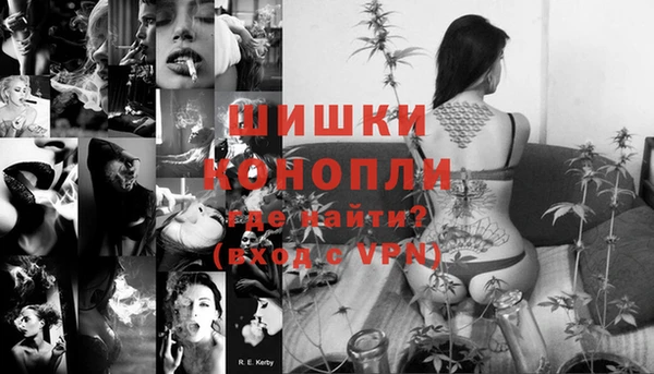 прущие грибы Белокуриха