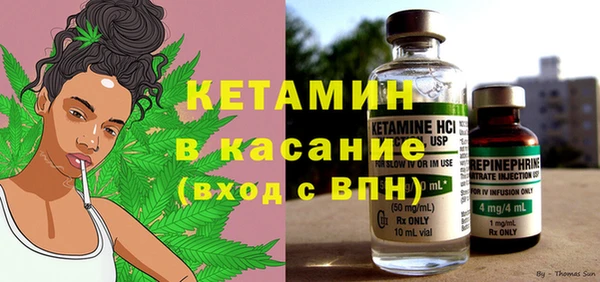 прущие грибы Белокуриха