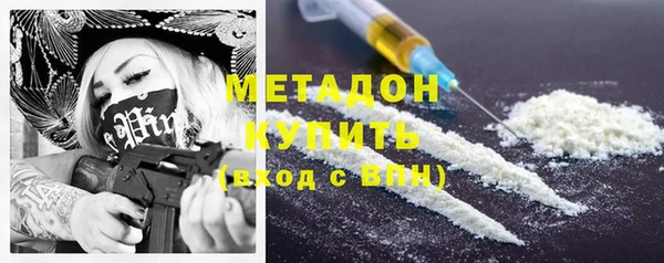 прущие грибы Белокуриха