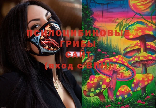 прущие грибы Белоозёрский
