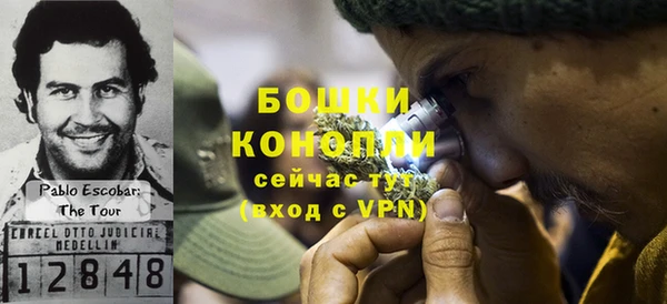 прущие грибы Белокуриха